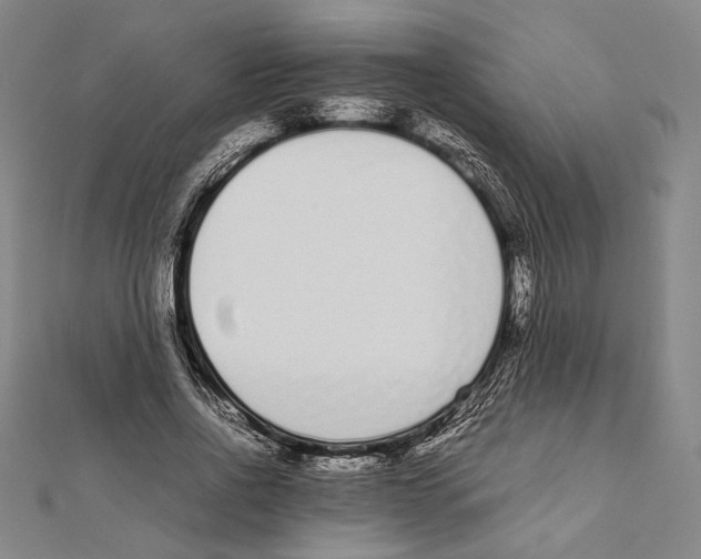 X0000111780734200908201109