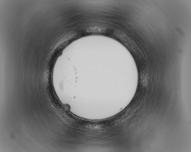 X0000111780735200908201109