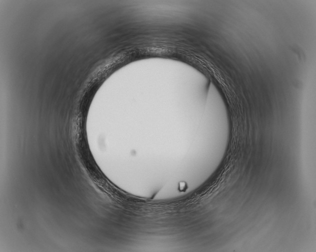 X0000111780736200908201109