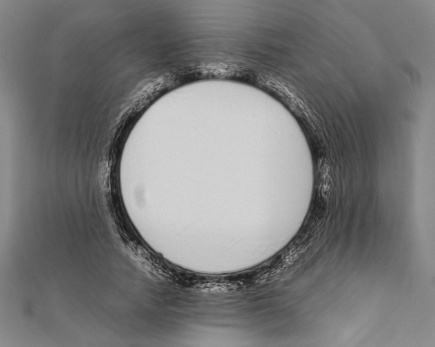 X0000111780738200908201109