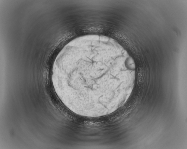 X0000111780739200908201109