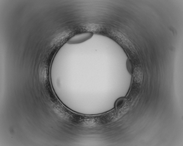 X0000111780740200908201109