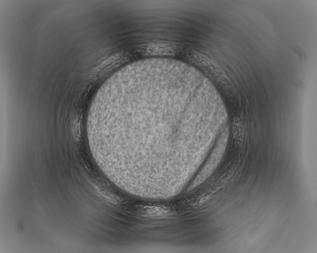 X0000111780741200908201110