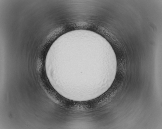 X0000111780742200908201110
