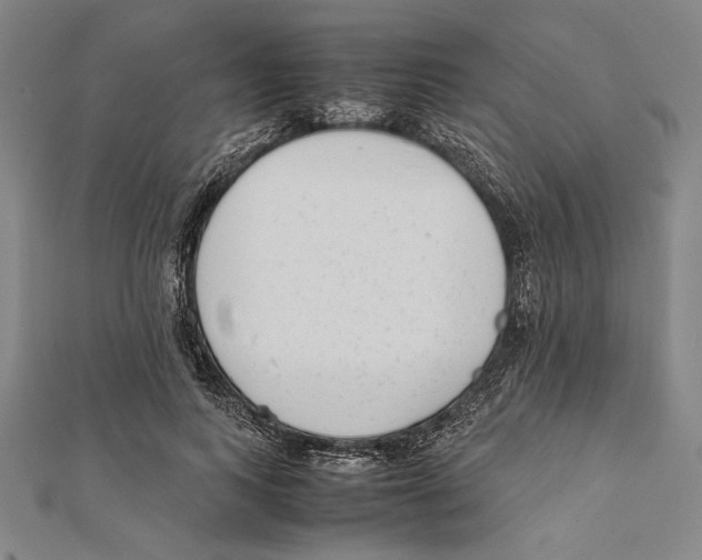 X0000111780743200908201110