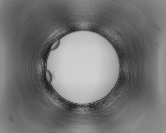 X0000111780744200908201110
