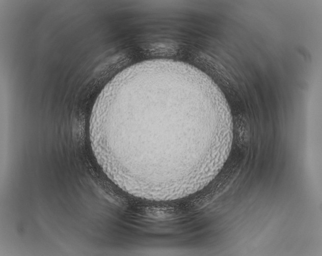X0000111780745200908201110