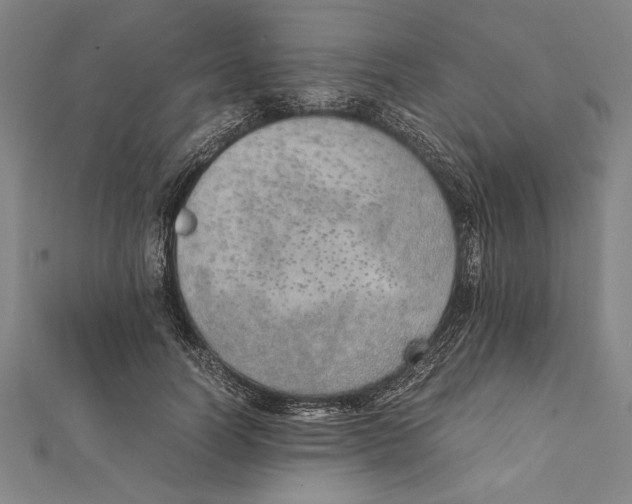 X0000111780746200908201110