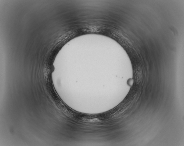 X0000111780747200908201110