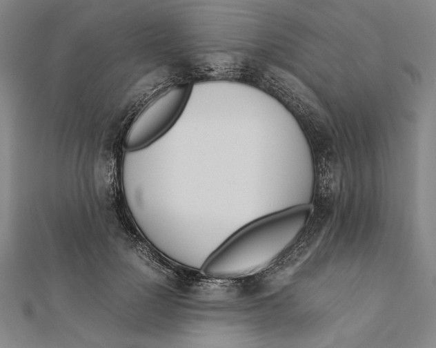 X0000111780748200908201110