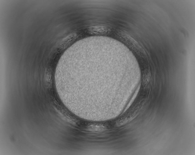 X0000111780749200908201110