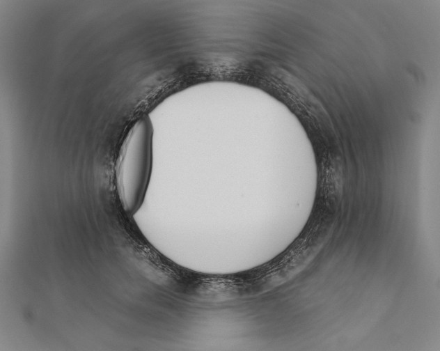 X0000111780750200908201110