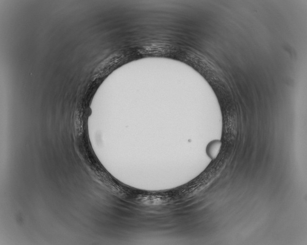 X0000111780751200908201110