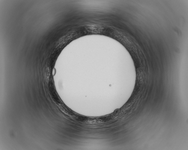 X0000111780752200908201110