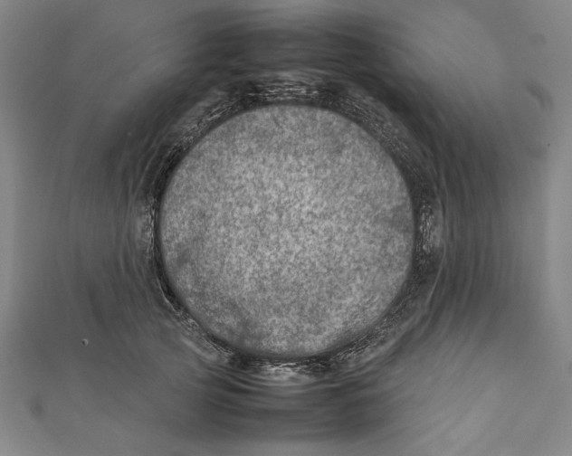 X0000111780753200908201110