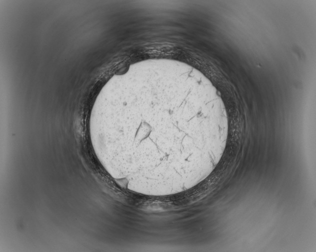X0000111780755200908201110