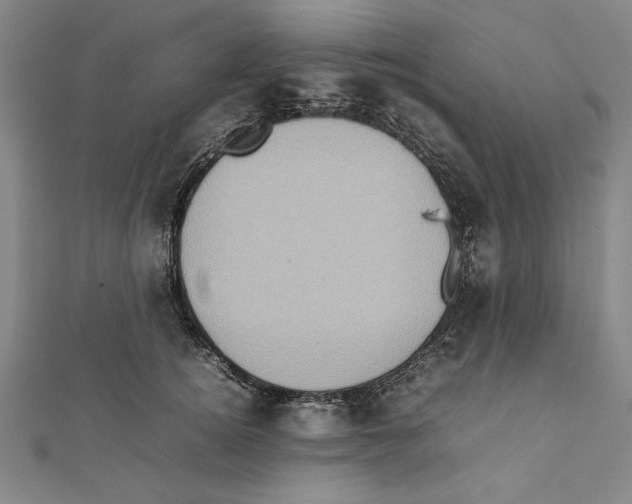 X0000111780756200908201110