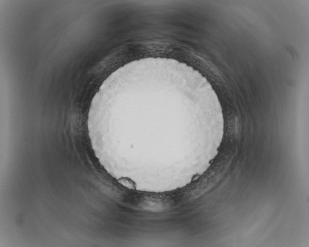 X0000111780757200908201110