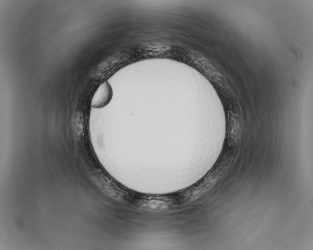 X0000111780758200908201110