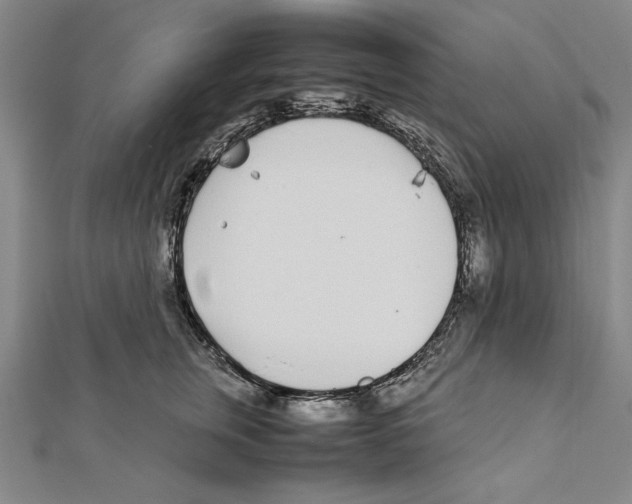 X0000111780759200908201110