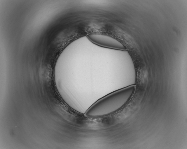 X0000111780760200908201110