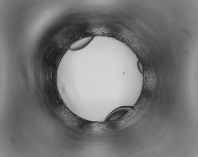 X0000111780762200908201110