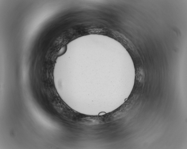 X0000111780763200908201110
