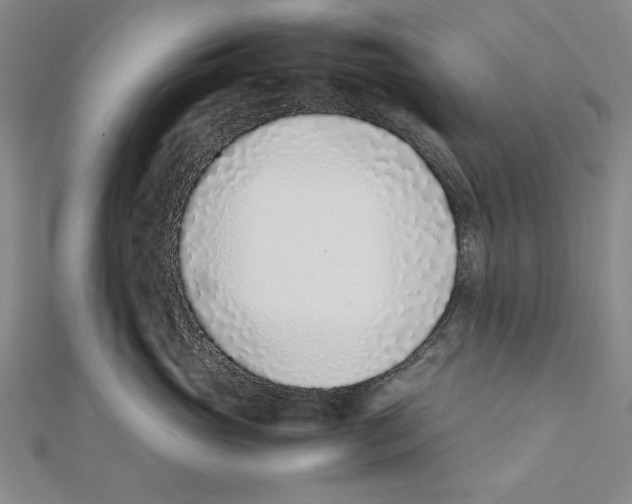 X0000111780765200908201110