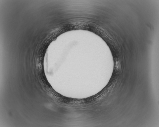 X0000111780771200908201109