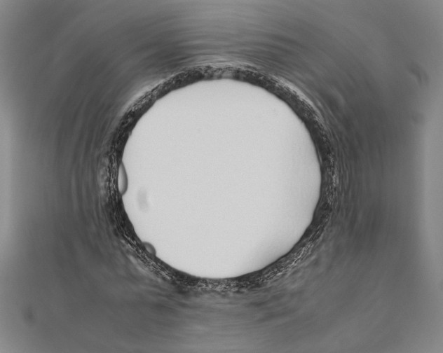 X0000111780775200908201109
