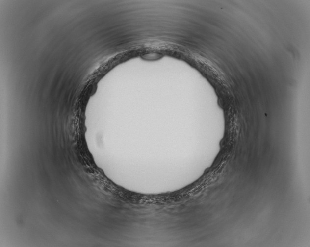 X0000111780776200908201109