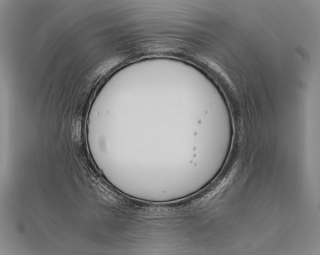 X0000111780777200908201109
