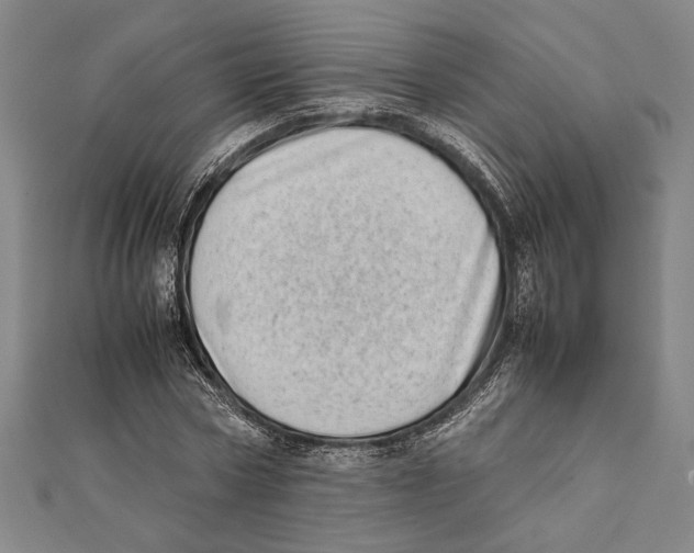 X0000111780778200908201109