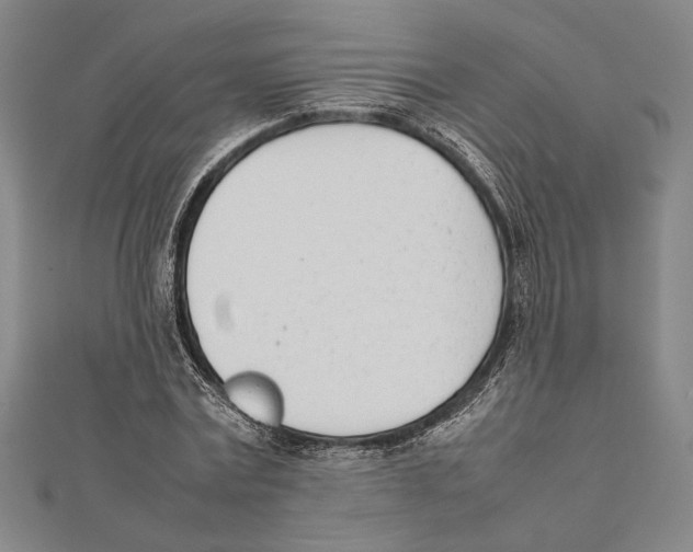 X0000111780779200908201109