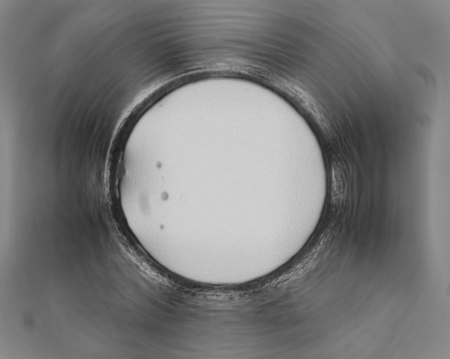 X0000111780780200908201109