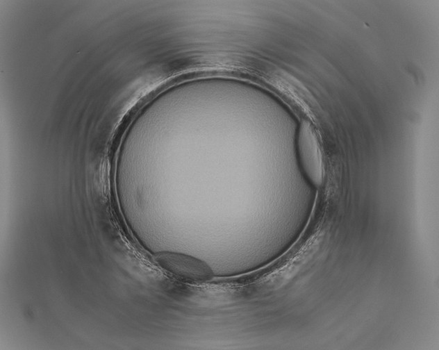 X0000111780781200908201109