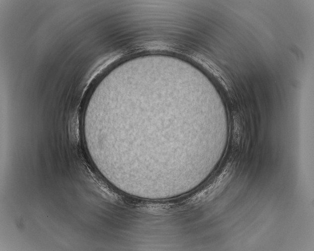 X0000111780782200908201109