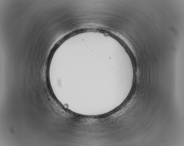 X0000111780783200908201109