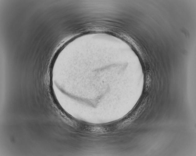 X0000111780787200908201109