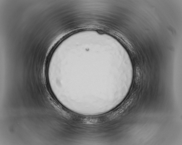 X0000111780788200908201109