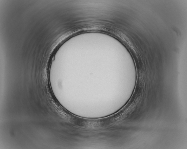 X0000111780789200908201109