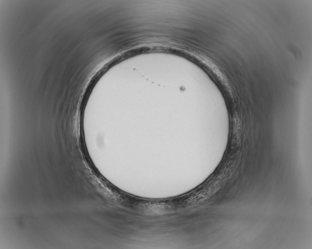 X0000111780791200908201109