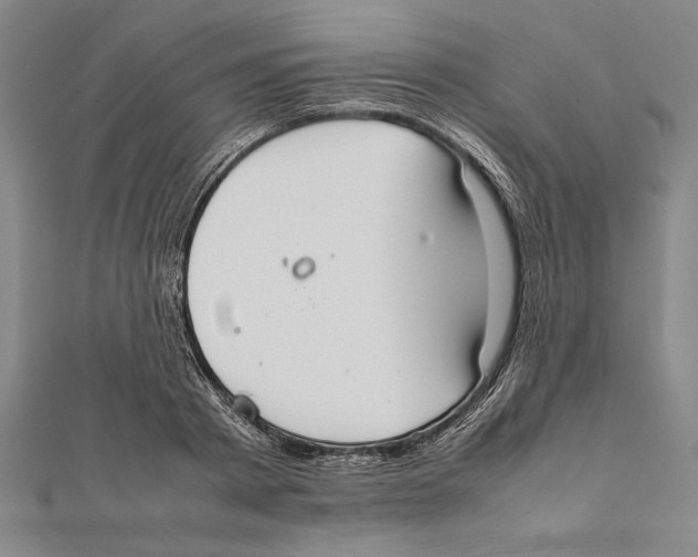 X0000111780793200908201109