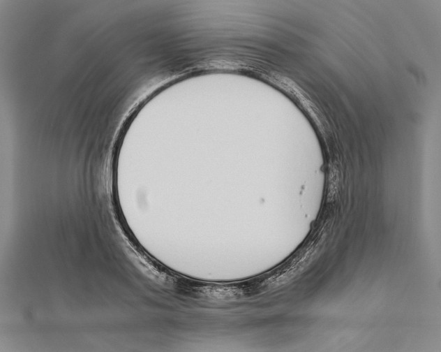 X0000111780795200908201109