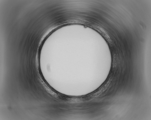 X0000111780796200908201109