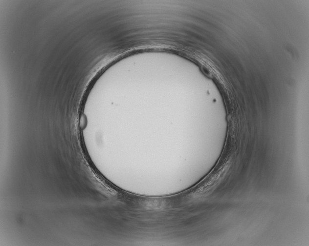 X0000111780797200908201109