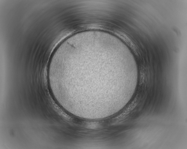 X0000111780798200908201109