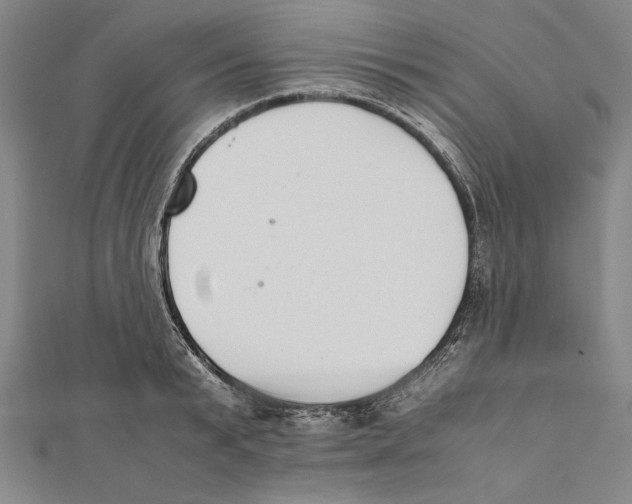 X0000111780799200908201109