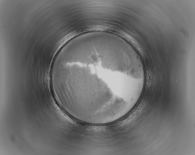 X0000111780802200908201109