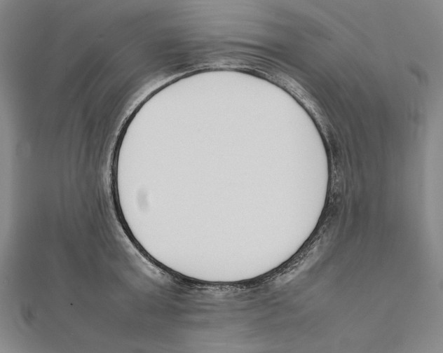 X0000111780803200908201109